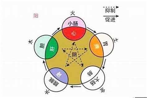 盈五行屬性|盈字的五行属什么